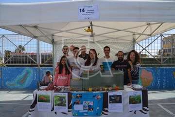 XIV Feria de la Salud de Las Remudas y La Pardilla (Foto TA)